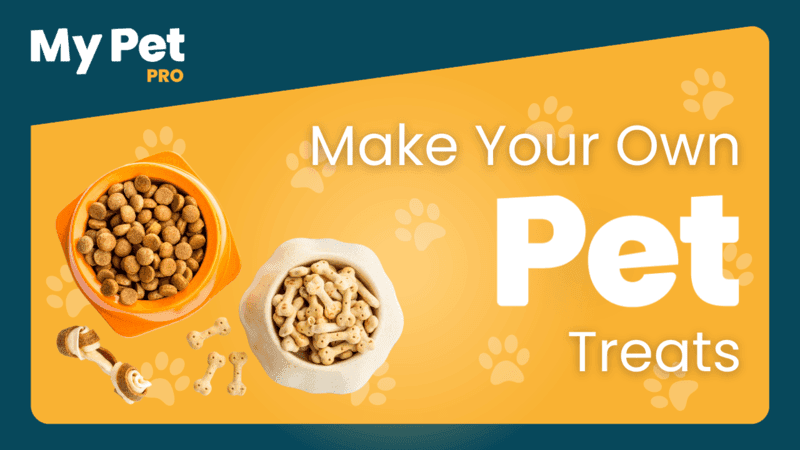 Top Pet Training Tips